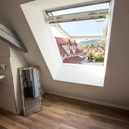 Gasthuis Artem Orbis 3*